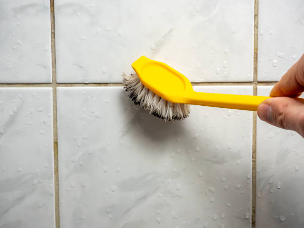 Best Attic Mold Removal  in Lolo, MT